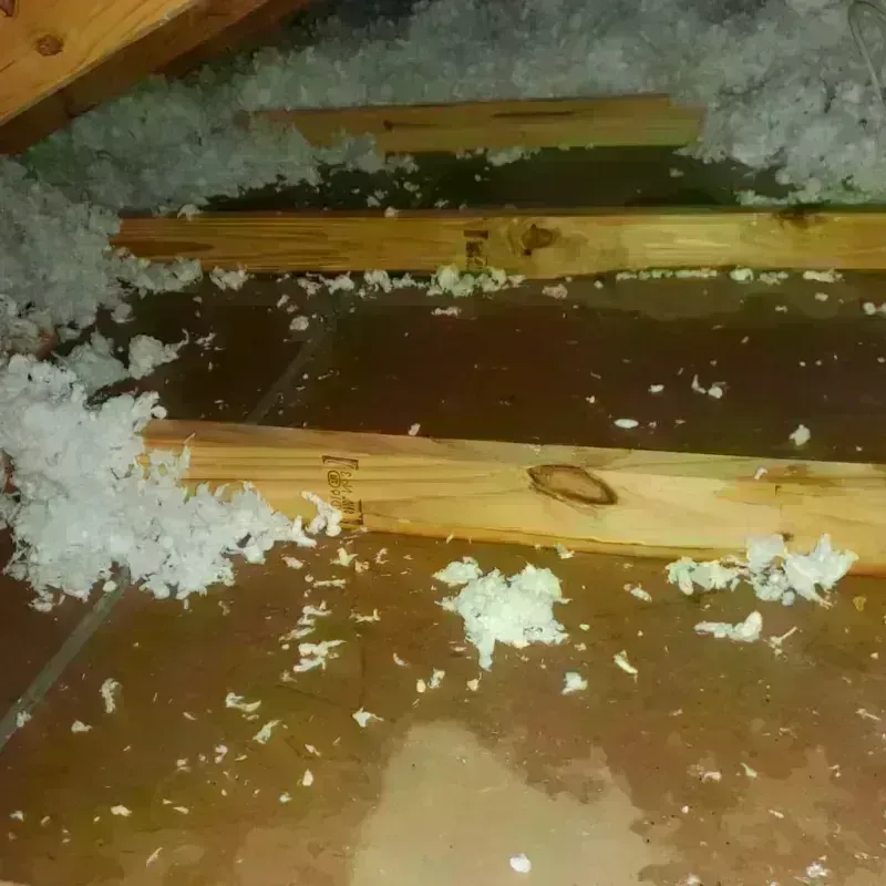 Attic Water Damage in Roosevelt, UT