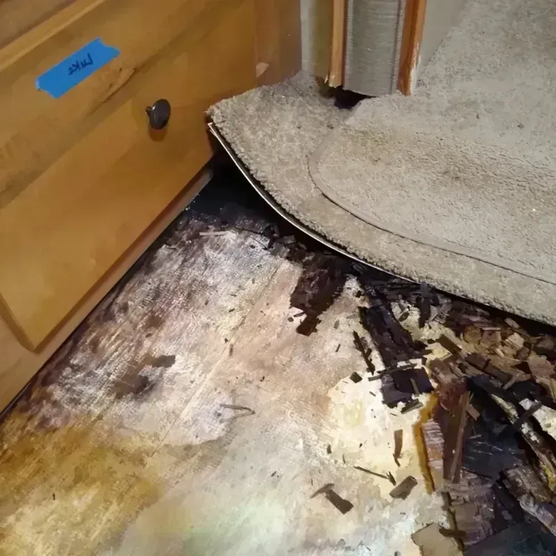 Wood Floor Water Damage in Roosevelt, UT